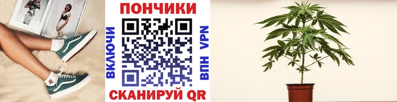 Магазин наркотиков Луховицы АМФЕТАМИН  Псилоцибиновые грибы  Канабис  МЕТАМФЕТАМИН  КОКАИН  A PVP  Меф 