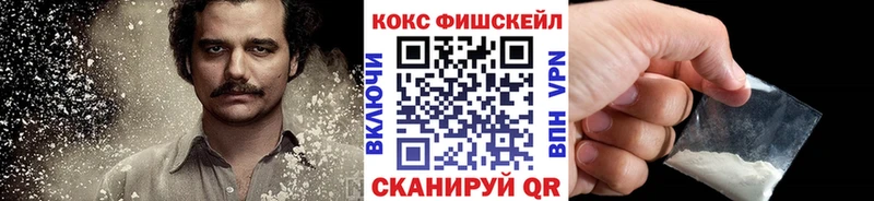 закладка  ссылка на мегу ONION  Кокаин FishScale  это телеграм  Луховицы 