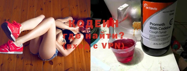 амф Дмитров