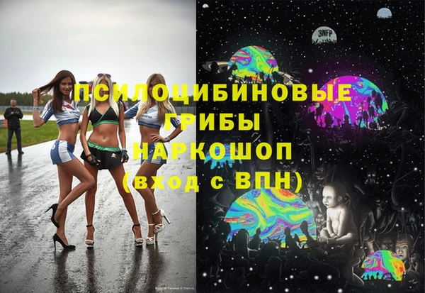 PSILOCYBIN Касимов