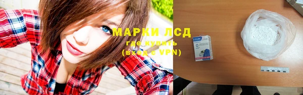 шишки Карпинск