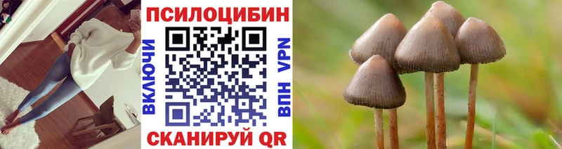 Галлюциногенные грибы Psilocybine cubensis Луховицы