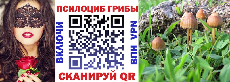 Галлюциногенные грибы Psilocybe  Луховицы 