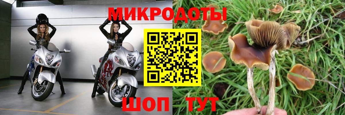 Псилоцибиновые грибы Magic Shrooms  Вход с VPN  Луховицы 